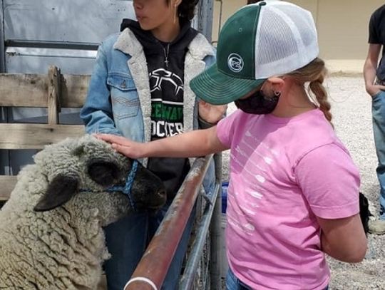 FFA Students Show their Animals to E.C. Best Students