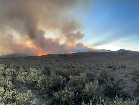 Firefighters Hold Lines on Growing Shoshone Fire