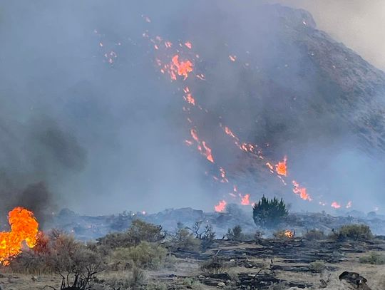 Firefighters Hold Lines on Growing Shoshone Fire