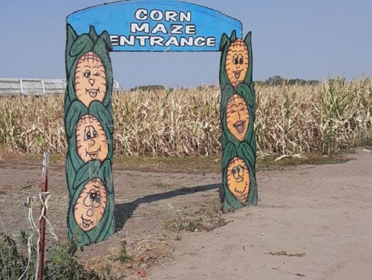 Get Lost in the Fairy Tales and Folklore -- Corn Maze at Lattin Farms