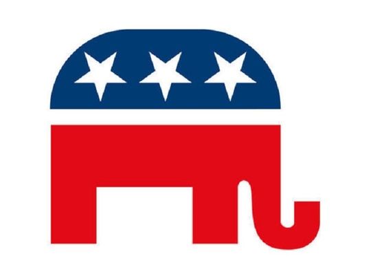 GOP Central Committee Report