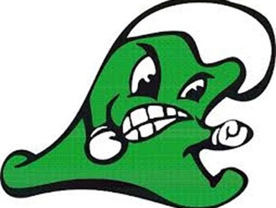 Greenwave to host Elko in region semifinals Friday