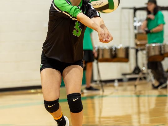 Greenwave Volleyball Sweeps on 'LeAnne Strong ' Night