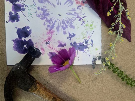Growing Plants and People: New Seeds Being Planted Daily at CCHS