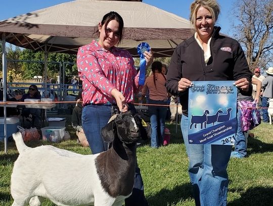 High Desert Grange Top Pics in Old Timers and Whipper Snappers’ Goat and Sheep Show