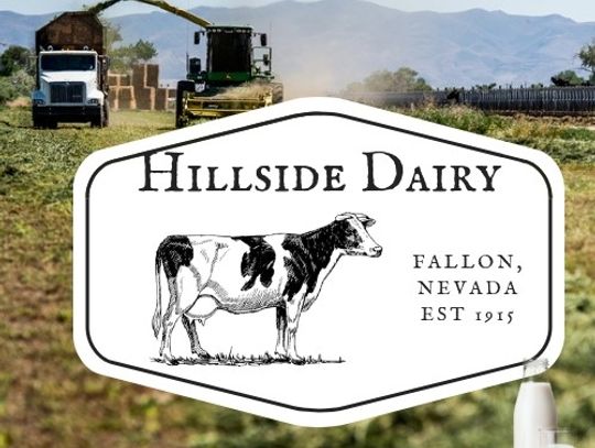 Hillside Dairy Shop Manager