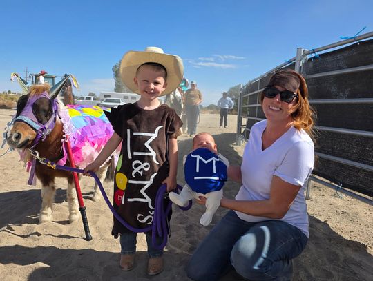 Horse Show Wraps Up Season With Costume Competition
