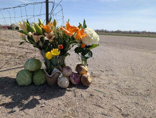 In memorium -- The Melon Man