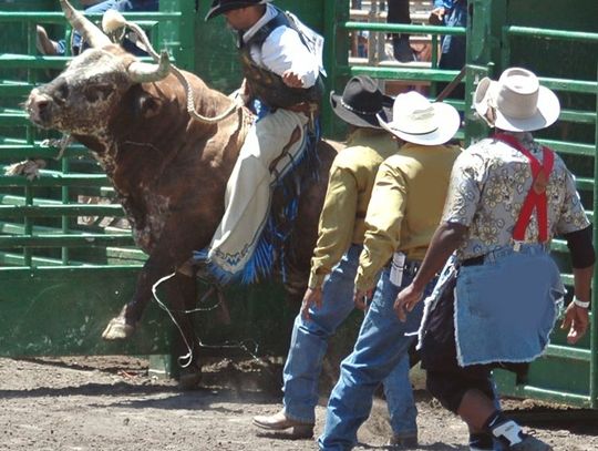 It's Back - de Golyer's Fall Rough Stock Rodeo Returns October 21
