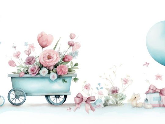 January Births at Banner Hospital