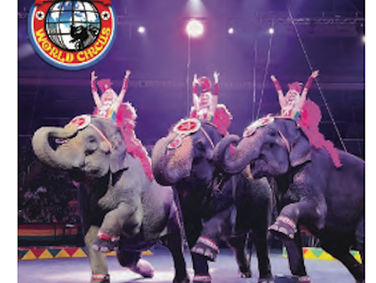 Jordan World Circus Plans Fallon Performance