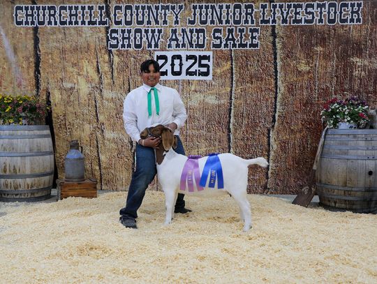 Jr. Livestock Show Success Local Youth Earn Titles and Bragging Rights