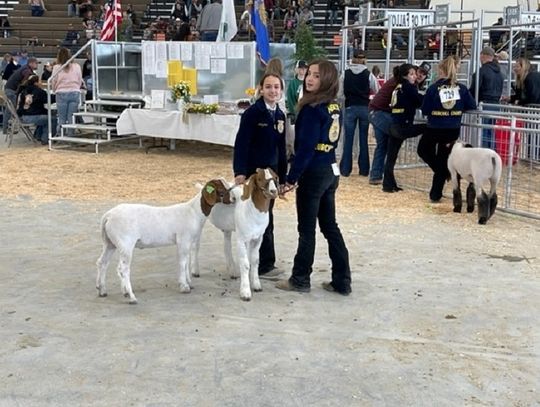 Junior Livestock Show Huge Success -- at the Rafter 3C