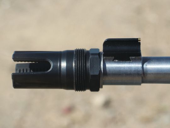 King of the Rimfires-The Mighty .22