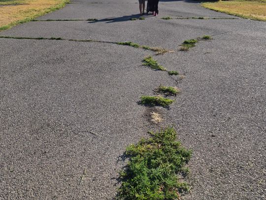 Laura Mills Park Walking Path Replacement Enters Next Phase