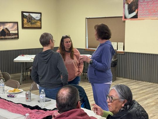 Library Board Backs Budget After Dispute, Elects New Chair