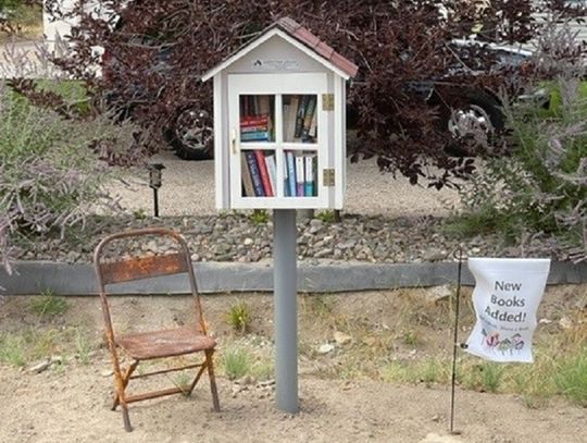 Little Free Libraries Popping up Everywhere