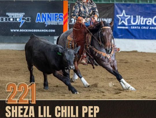 Marisa Julian Sweeps Four Divisions at Reno Snaffle Bit Futurity