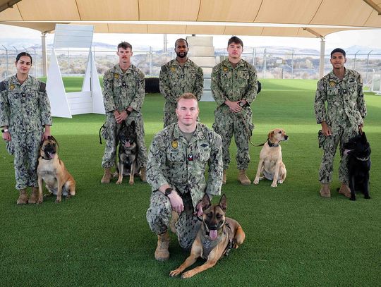 Military Working Dogs at NASF