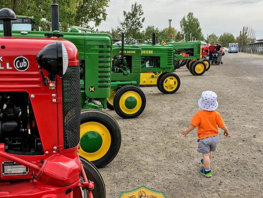 Music, Tradition, and Community Spirit Shine as Cantaloupe Festival Approaches