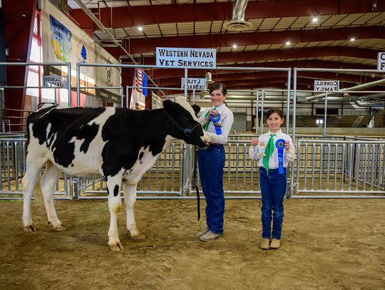 Nevada 4-H Expo Showcases Youth Skills in Animal Care, STEM, and Arts