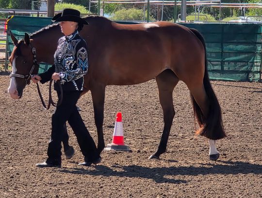 Nevada Paint Horse Club Hosts Two-Day Show in Fallon