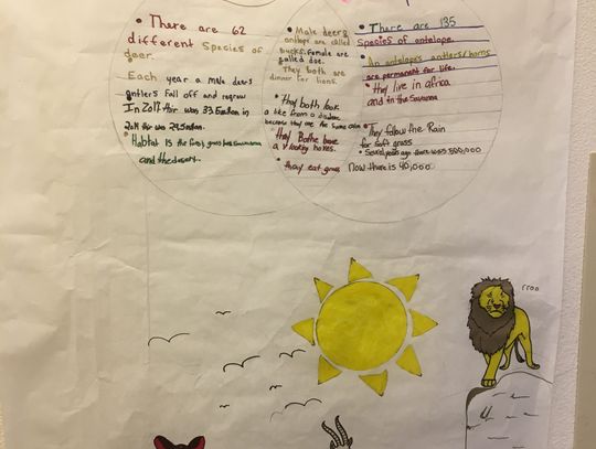 Numa 5th graders make poster presentations