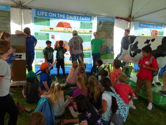 Numa Elementary Students Learn about Agriculture