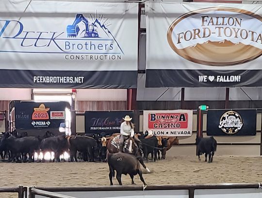 PCCHA Fiesta Brings Major Cutting Horse Show to Fallon