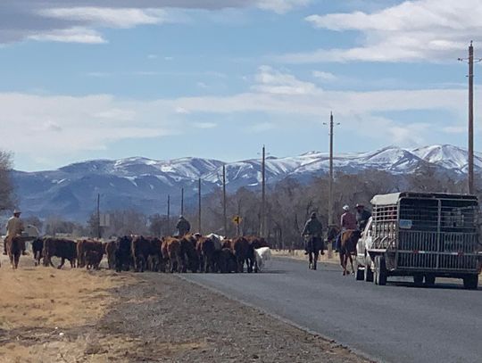 Ranch Management Workshop Set for Sept. 26 in Elko