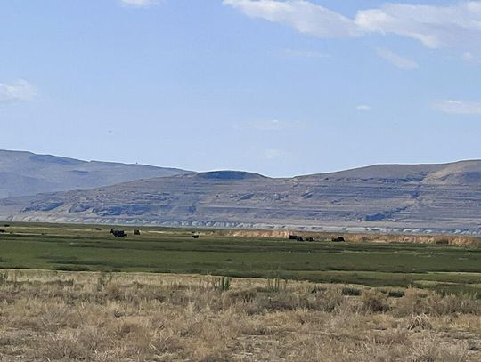 Ranchers Push Back as NDOW Nearly Doubles Carson Pasture Grazing Fees