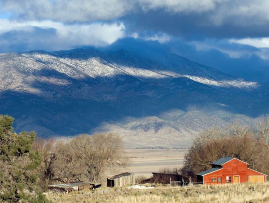 Representing Public Employees of Nevada