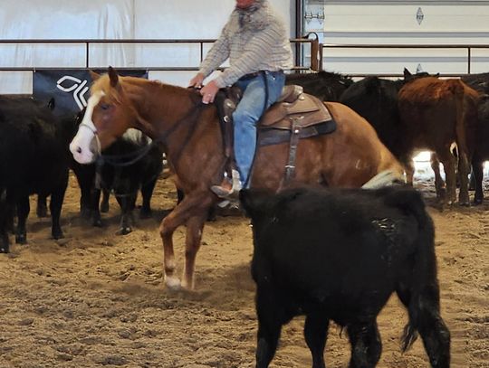 Riders Gather at Fifty Horse Ranch for Sunday Training