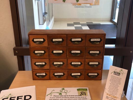 Seed Library Growing Strong at the Churchill County Library