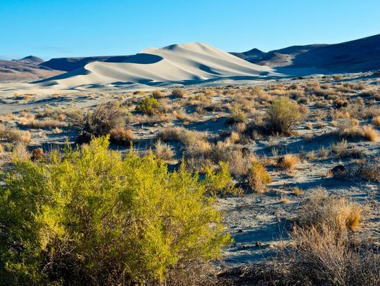 Senior Coalition Meeting