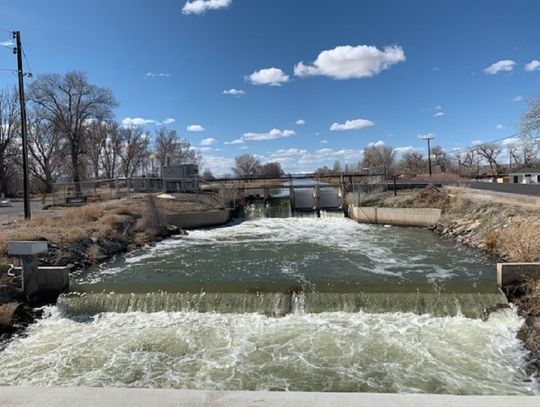 TCID – Truckee Canal Update and Mosquitoes