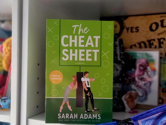 "The Cheat Sheet" by Sarah Adams