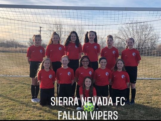 The Fallon Vipers - new youth soccer club