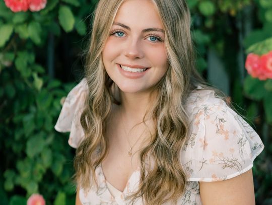 The Greenwave Plant Corner