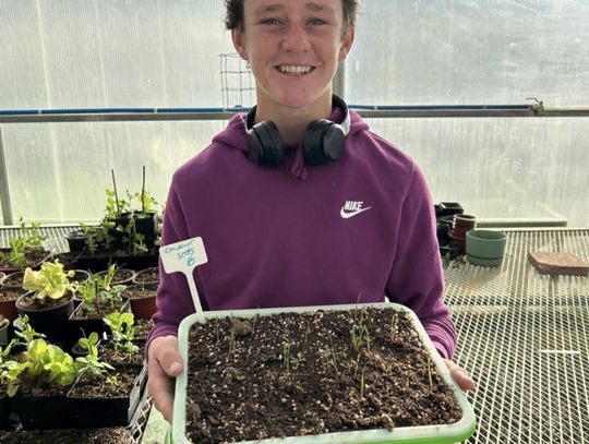 The Greenwave Plant Corner