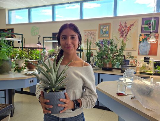The Greenwave Plant Corner