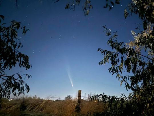 The Once-in-80,000-Year Arrival of Atlas Comet Light’s Up Fallon’s Night Sky