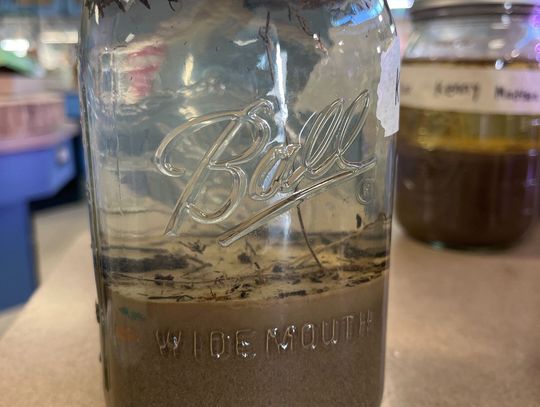 The Power of Healthy Soil