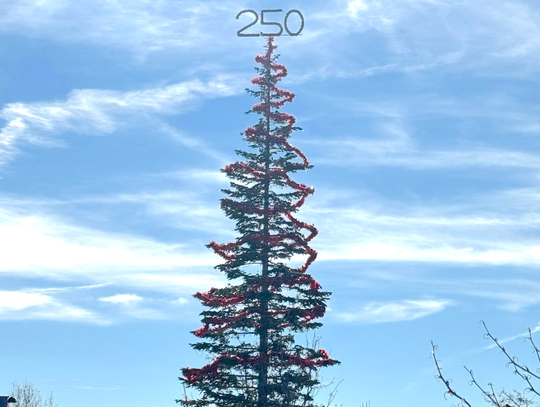 The Tradition Continues – Our Favorite Community Event