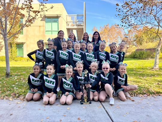 Tiny Mite Cheer Team