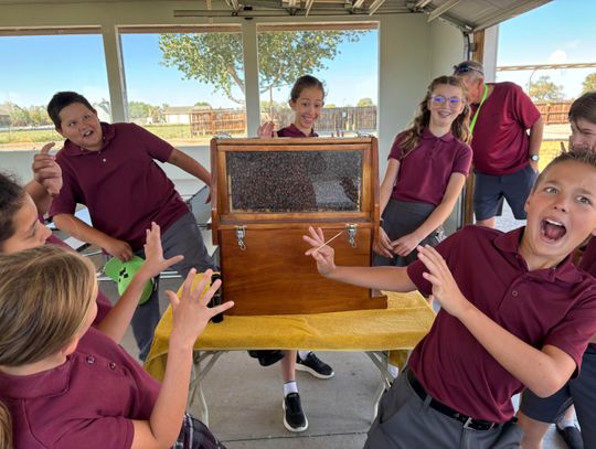 Veritas Preparatory School – Classical and Christian Buzzing with Excitement: Veritas Celebrates Bee Day