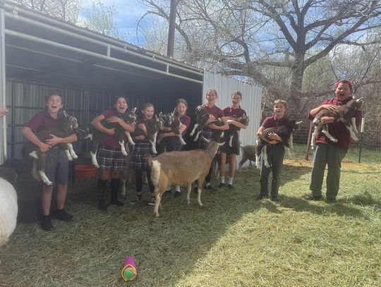 Veritas Preparatory School Classical and Christian Hands-On Learning and Special Events