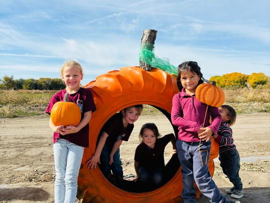 Veritas Preparatory School – Classical and Christian Veritas Kindergarten 5 Visits Lattin Farms for a Fall Adventure Veritas Preparatory School – Classical and Christian Veritas Kindergarten 5 Visits Lattin Farms for a Fall Adventure