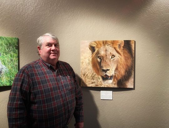 WNC Fallon Gallery Welcomes Larry Neel