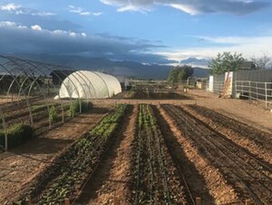 Yellow Petal Flower Farm – New Agritourism Facility